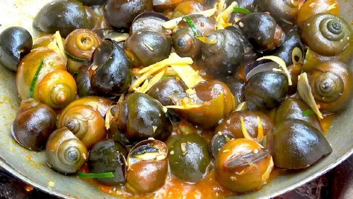 Hẻm ốc Vân Đồn