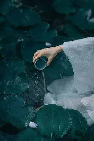 Cảm xúc tháng tư - Hoàng Lan