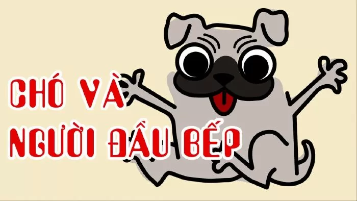 Chó và người đầu bếp