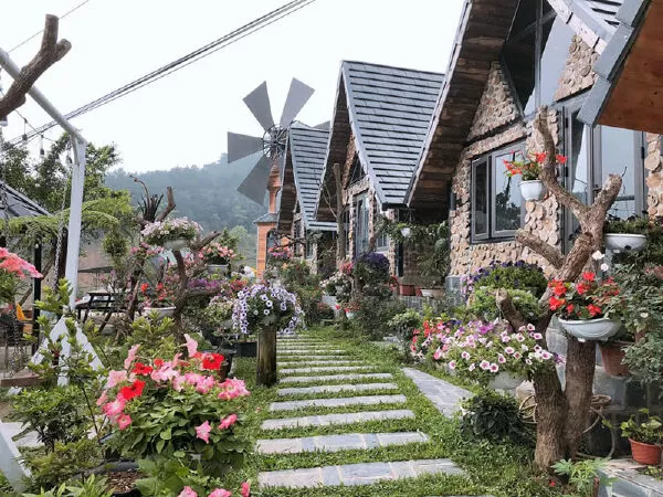 Cầu Mây homestay