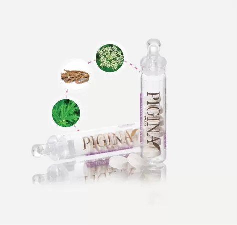 Bộ sản phẩm gel vệ sinh và viên đặt diệu kỳ Pigina