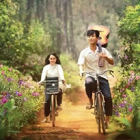 Mắt Biếc
