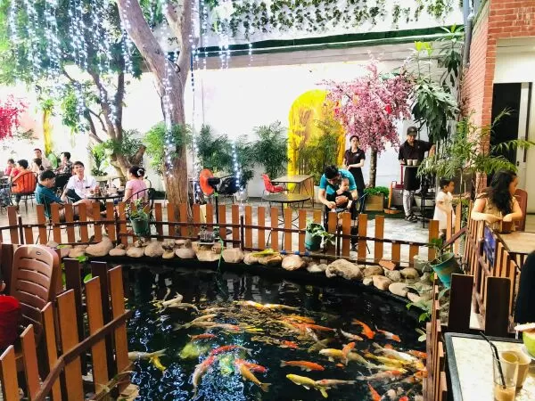 Koi Cà Phê