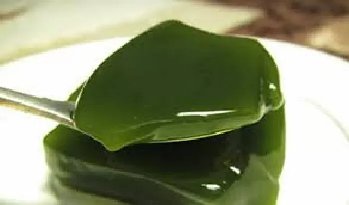 Thạch găng – Lý Thường Kiệt