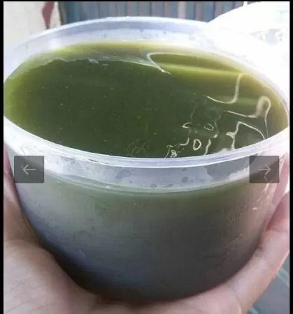 Thạch Găng – Chợ Cát Bi