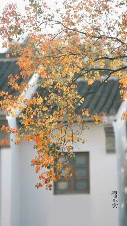 Tiếng thu