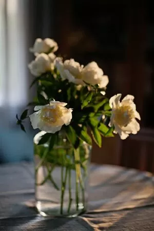 Một chút tình