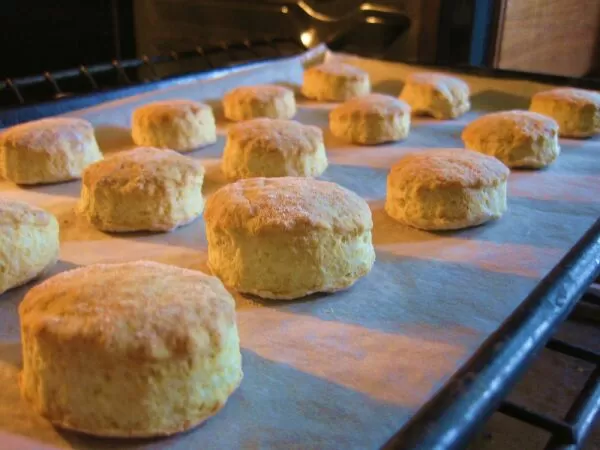 Biscuit ở Hoa Kỳ