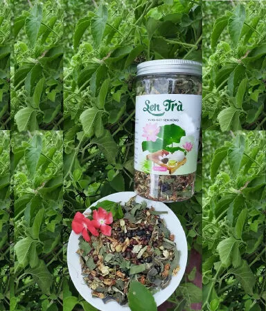 Sen trà tự nhiên Ba Tre