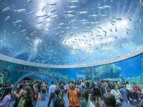 Viện Hải Dương học Nha Trang