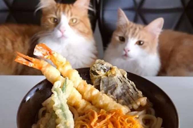 JunsKitchen