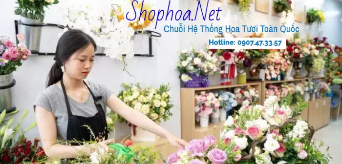 Shophoa.net