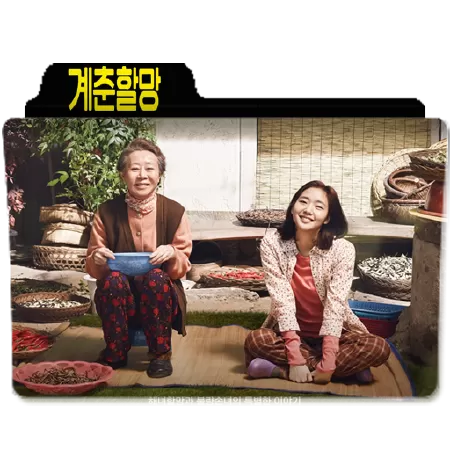 Hoa Cải Vàng - Canola (2016)