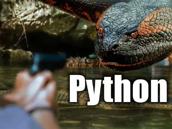 Python