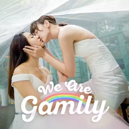We Are Gamily (2017) / Ngụy hôn nam nữ