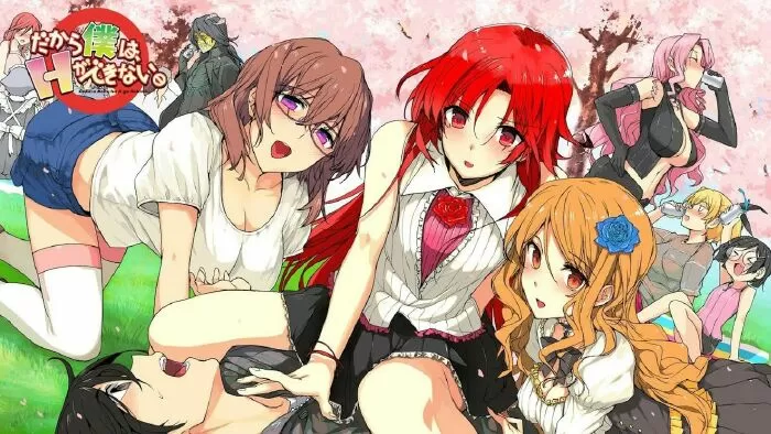 Dakara boku wa, H ga Dekinai