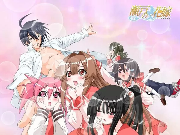 Seto no Hanayome (Cô dâu của tôi là nàng tiên cá)
