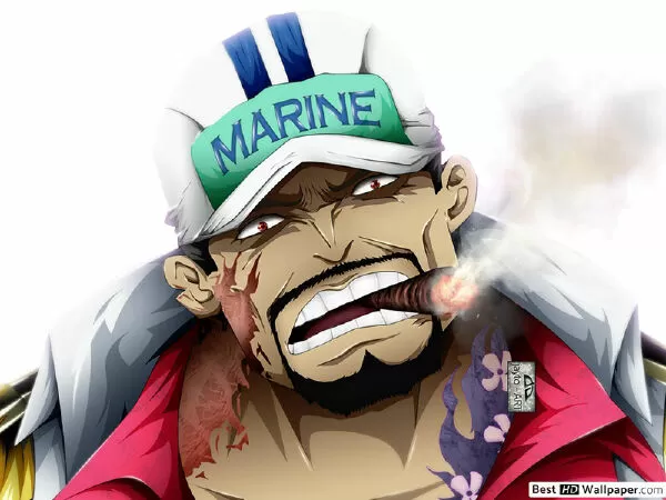 Akainu (One piece)