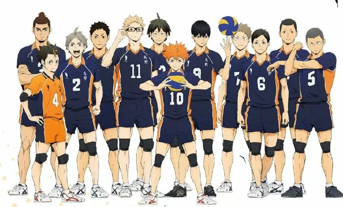 Haikyuu! ( Haikyuu! Chàng khổng lồ tí hon)