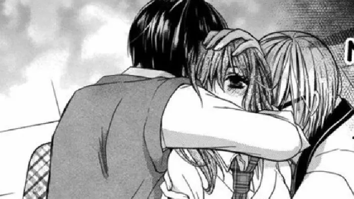 Risou No Kareshitachi