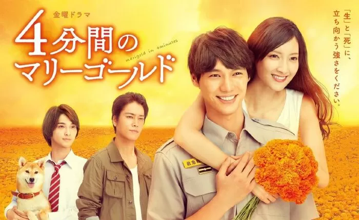 4-punkan no Marigold (2019) / 4 phút định mệnh và Cúc vạn thọ