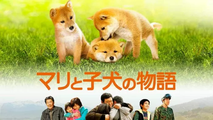 Mari Và Ba Chú Cún - A Tale Of Mari and Three Puppies (2007)