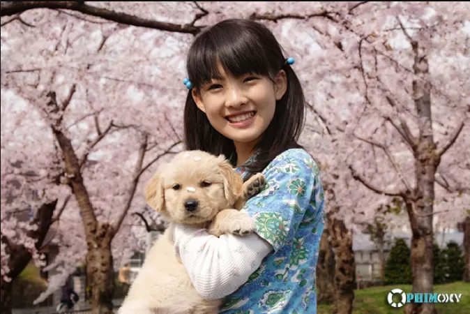10 Lời Hứa Với Chó Của Tôi - 10 Promises To My Dog (2008)