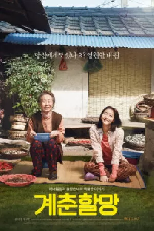 Hoa cải vàng (2016)
