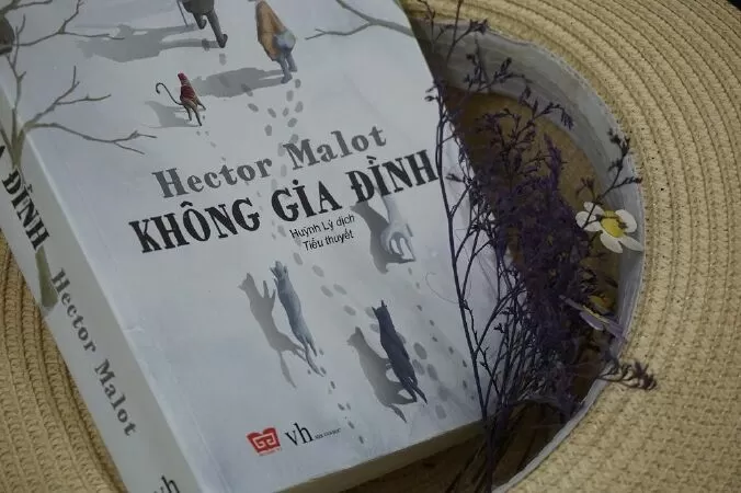 Nobody's Boy - Không gia đình