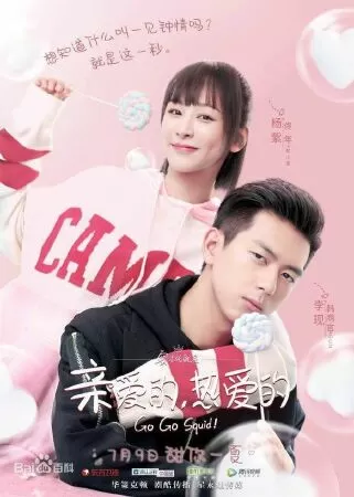 Cá mực hầm mật