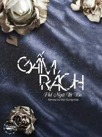 Gấm Rách
