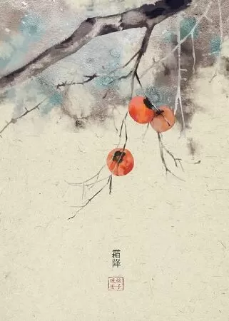 Phấn Hoa Lầu Xanh