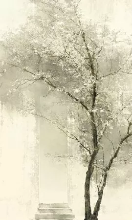 Tiểu Hồ Ly Và Quốc Vương
