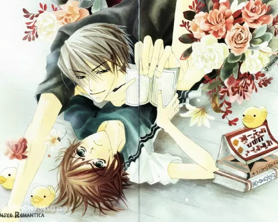 Junjou Romantica / Sự lãng mạn thuần khiết