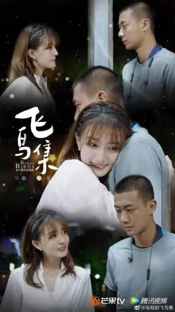 Stray birds (2020) – Những cánh chim lạc loài