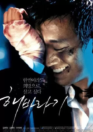 Sunflower - Hoa Hướng Dương (2006)