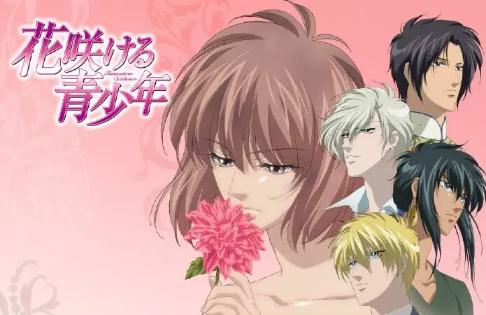 Hanasakeru Seishounen / Tuổi trẻ hào hoa