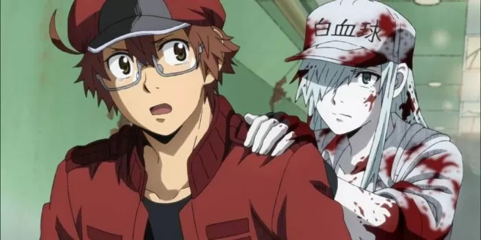 Cells At Work! / Khi các tế bào làm việc