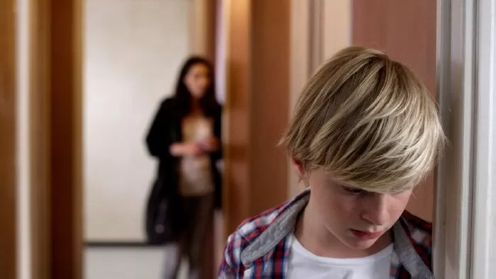 Custody (2017) / Giam cầm