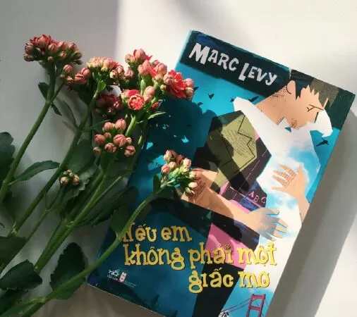 Nếu Em Không Phải Giấc Mơ