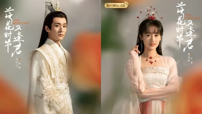 Mùa Hoa Rơi Gặp Lại Chàng