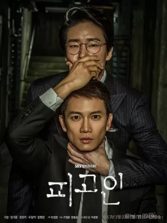 Defendant – Bị cáo (2017)
