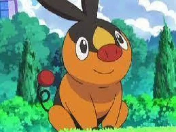 Tepig