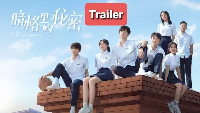 Bí Mật Nơi Góc Tối (2021)