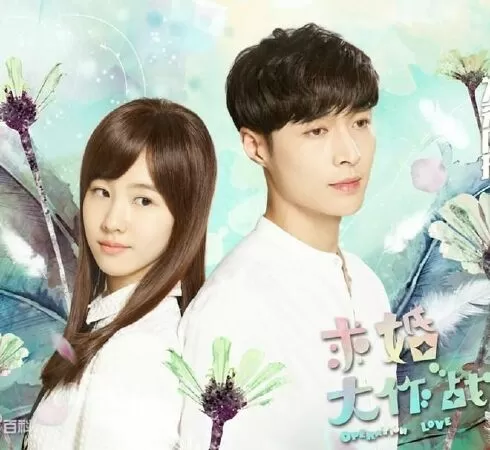 Cầu Hôn Đại Tác Chiến - Operation Love (2017)