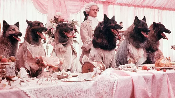The Company Of Wolves