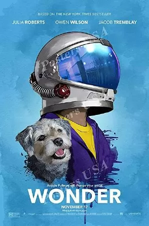 Điều kì diệu (2017)