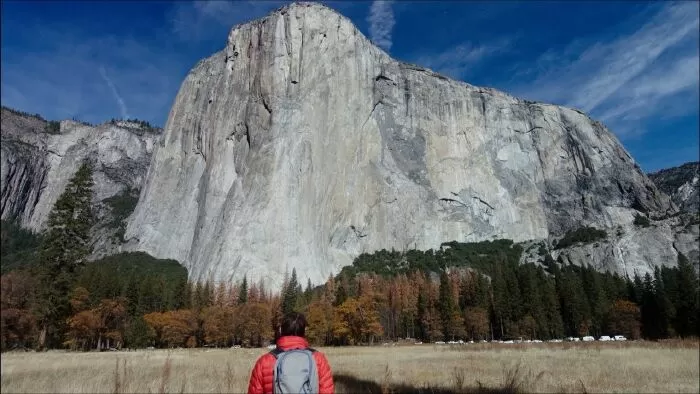 Free Solo (2018)