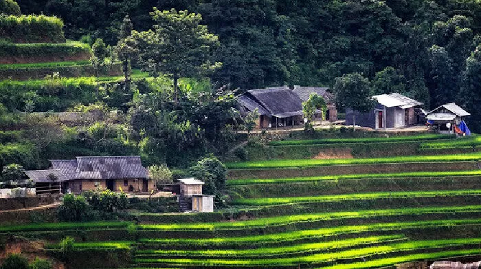 Thiết kế nhà lưng núi, sườn núi