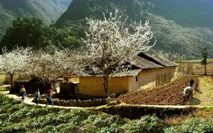 Thiết kế nhà vùng rẻo cao